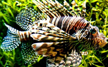 10 of the World s Most