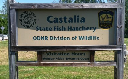 Castalia, Ohio State Fish