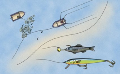 Locate rocky reefs in less