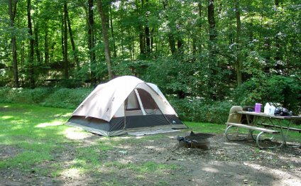 Camping camping