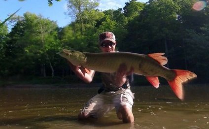 An amazing catch from the