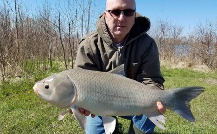 13.5 pound small mouth buffalo