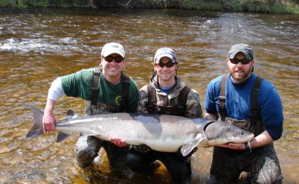 Sturgeon season to open on