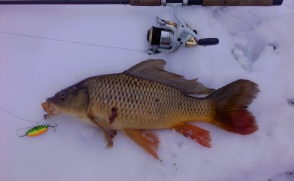 Central Ohio Fishing Reports