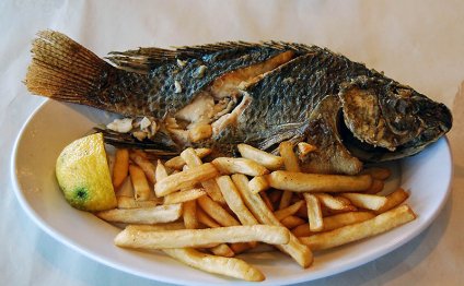 List of all types of fish