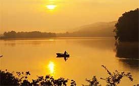 Fishing forums and blogs