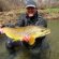 Mad River Trout