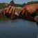 Walleye fishing in PA
