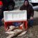 Western Lake Erie Fishing reports
