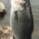 When do white bass run in Ohio
