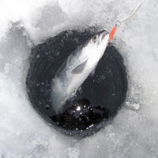 Ice Fishing Hole