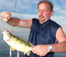 jumbo lake erie perch