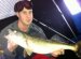 Ice fishing Lake Erie walleye
