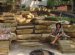 Vacation Rentals Ohio