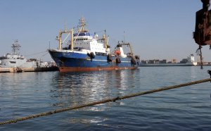 ABC Fishing Reports Port Clinton