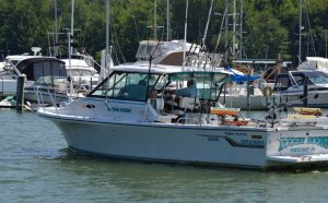 Cheap Lake Erie fishing Charters