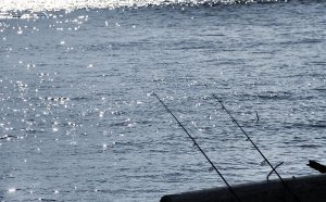 Indian Lake, Ohio Fishing