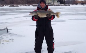 Lake Erie Walleye fishing Reports