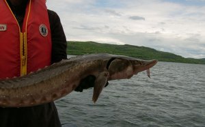 Ohio DNR fishing Port Clinton