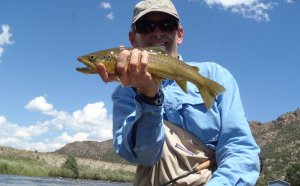 Orvis Fishing Report