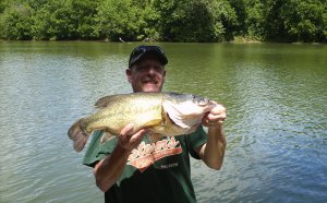 Shenandoah River Fishing Reports