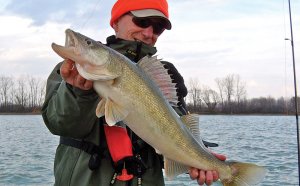 Walleye fishing Ohio