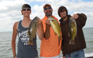 Walleye fishing Reports Lake Erie