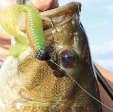 Smallmouth Bass Jigs