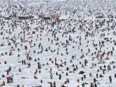 Best time to ice fishing