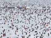 Best time to ice fishing