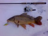 Central Ohio Fishing Reports