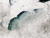Lake Erie ice coverage