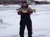 Lake Erie Walleye fishing Reports