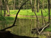 Lake Metroparks