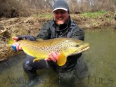 Mad River Trout