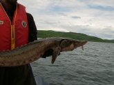 Ohio DNR fishing Port Clinton