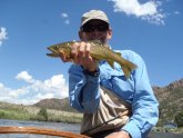 Orvis Fishing Report