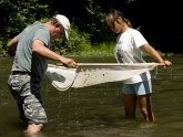 Shenandoah River conditions