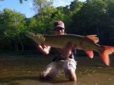 Steelhead fishing reports Ohio