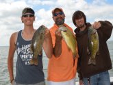 Walleye fishing Reports Lake Erie