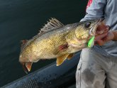 What Kind of fishing is Walleye?